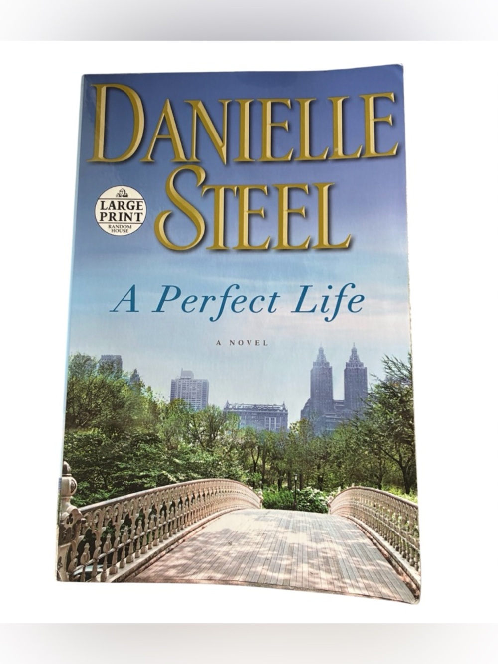 🎉3/$15 ‘A PERFECT LIFE’ DANIELLE STEEL NOVEL LARGE PRINT BOOK